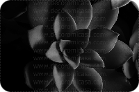 Fotografía flores blanco y negro 

 ref:0001