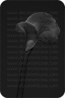 Fotografía flores blanco y negro 

 ref:0004