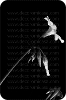 Fotografía flores blanco y negro 

 ref:0009