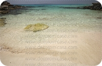 Fotografía playas color 

 ref:0008